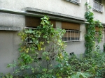 hashimoto apartments boarded up windows